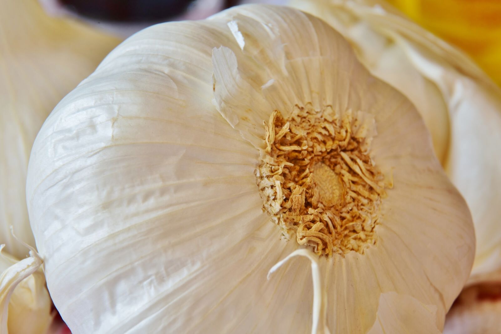 Nikon D7200 sample photo. Garlic, food, vegetables photography