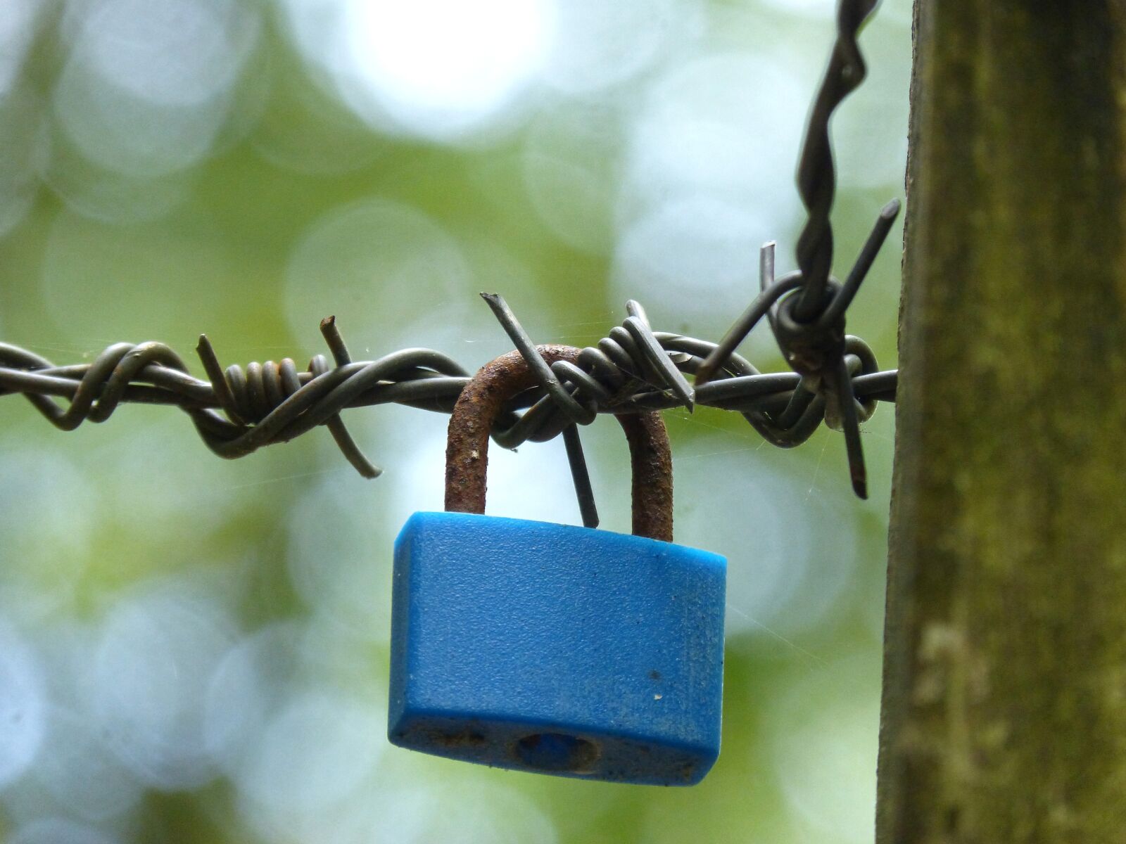 Panasonic DMC-FZ62 sample photo. Padlock, eternal love, symbol photography