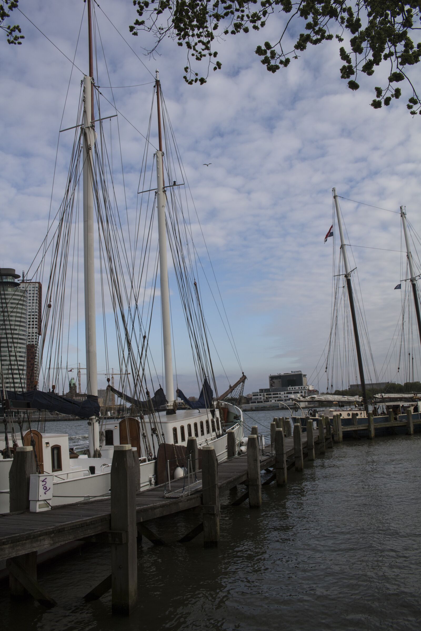 Canon EOS 750D (EOS Rebel T6i / EOS Kiss X8i) sample photo. Ship, holland, rotterdam photography
