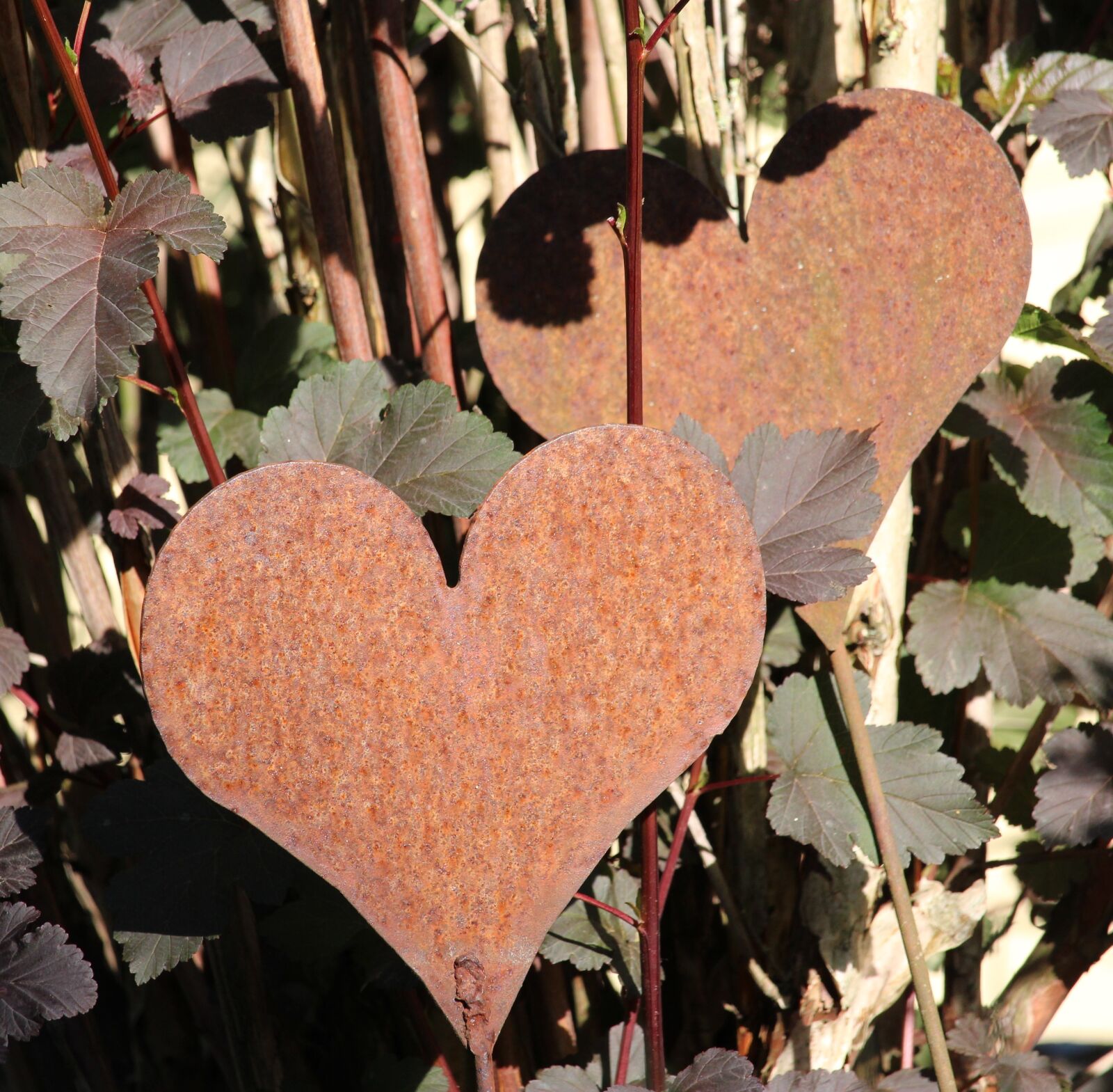 Canon EOS 1200D (EOS Rebel T5 / EOS Kiss X70 / EOS Hi) sample photo. Heart, rust, metal photography