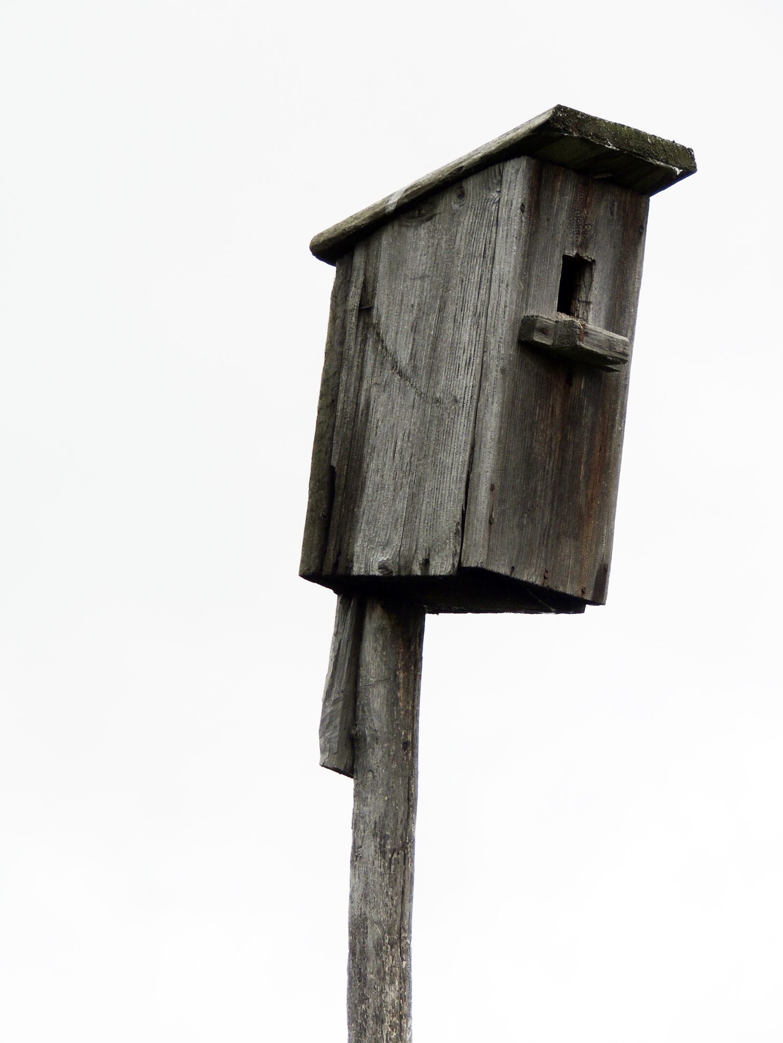 Nikon Coolpix P510 sample photo. Birdhouse, tree, wooden photography