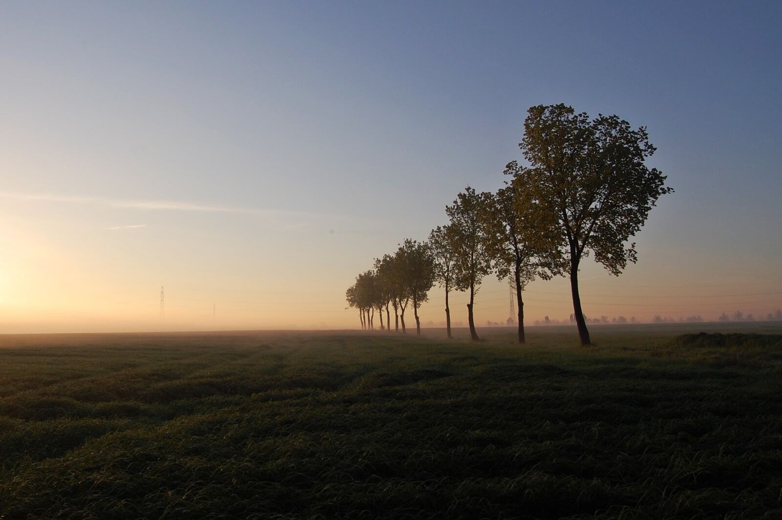 Nikon D40 sample photo. Sunset, nature, dawn photography