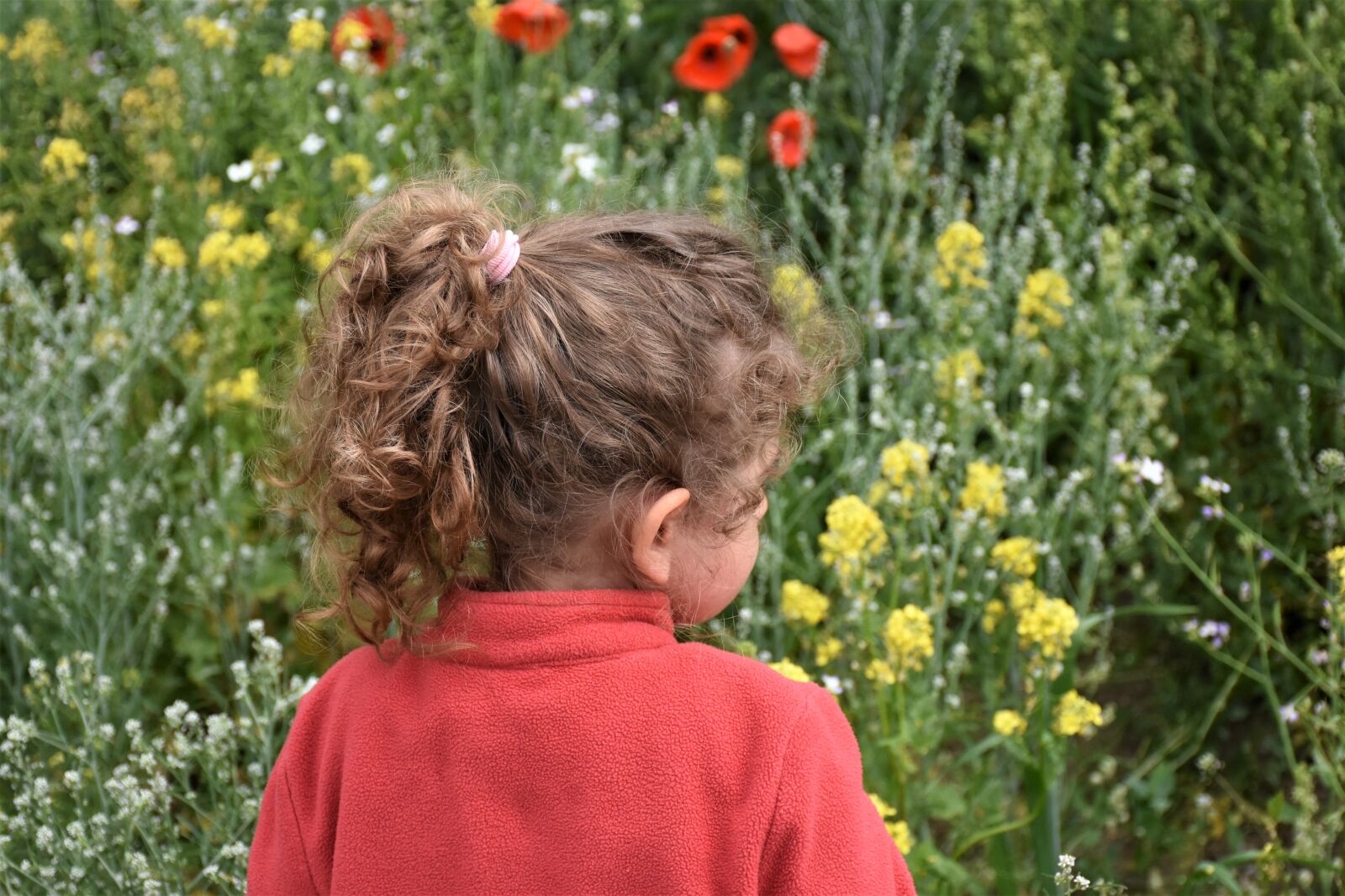Nikon D7200 sample photo. Child, nature, environment photography