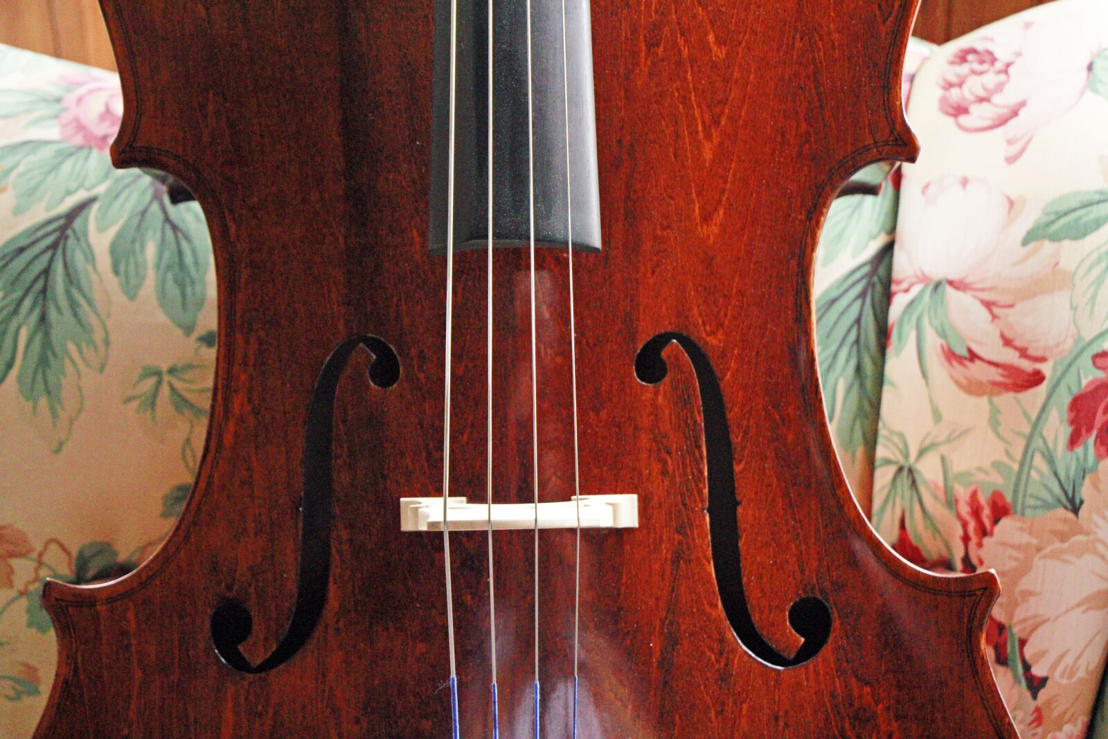 Canon EOS 650D (EOS Rebel T4i / EOS Kiss X6i) + Canon EF-S 18-135mm F3.5-5.6 IS STM sample photo. Cello, still life, music photography