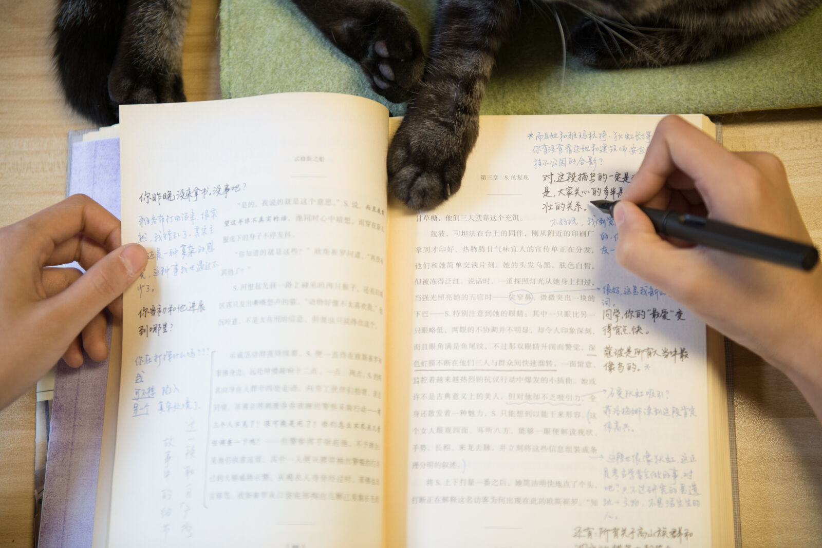 Nikon AF-S Nikkor 24-70mm F2.8G ED sample photo. Book, cat photography