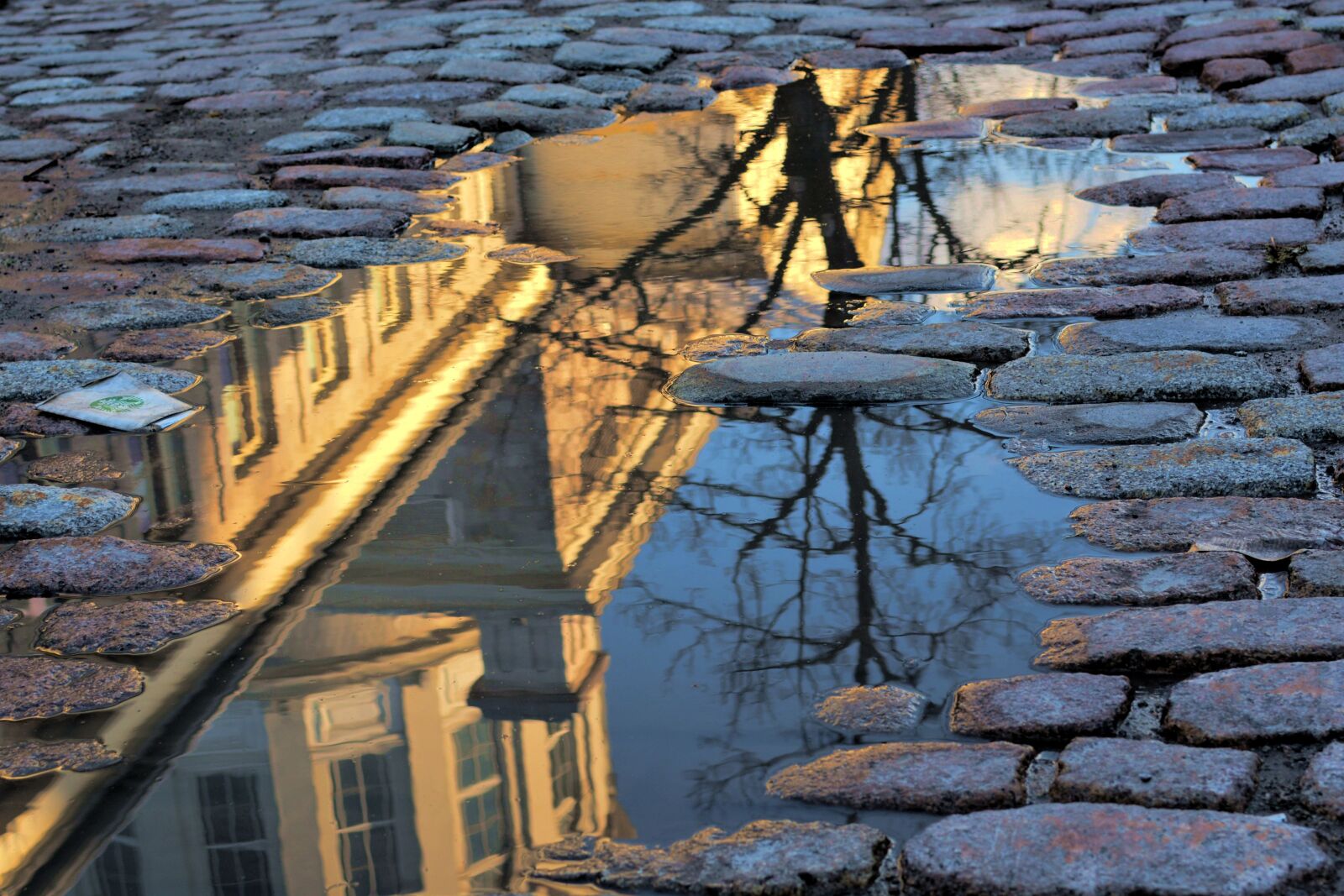 Nikon D7100 sample photo. Puddle, old, montréal photography
