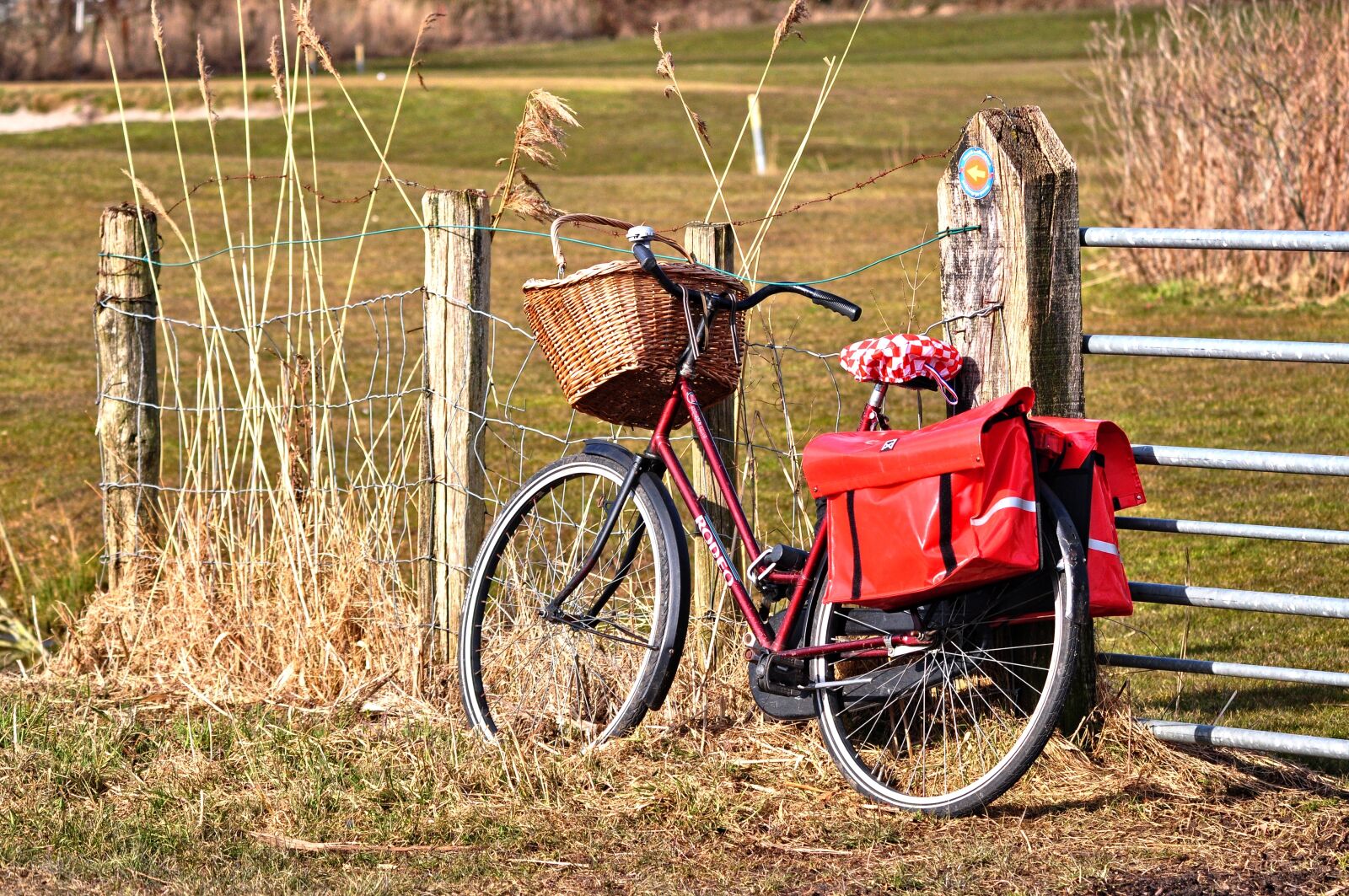 Nikon D90 sample photo. Bicycle, bike, vehicle photography