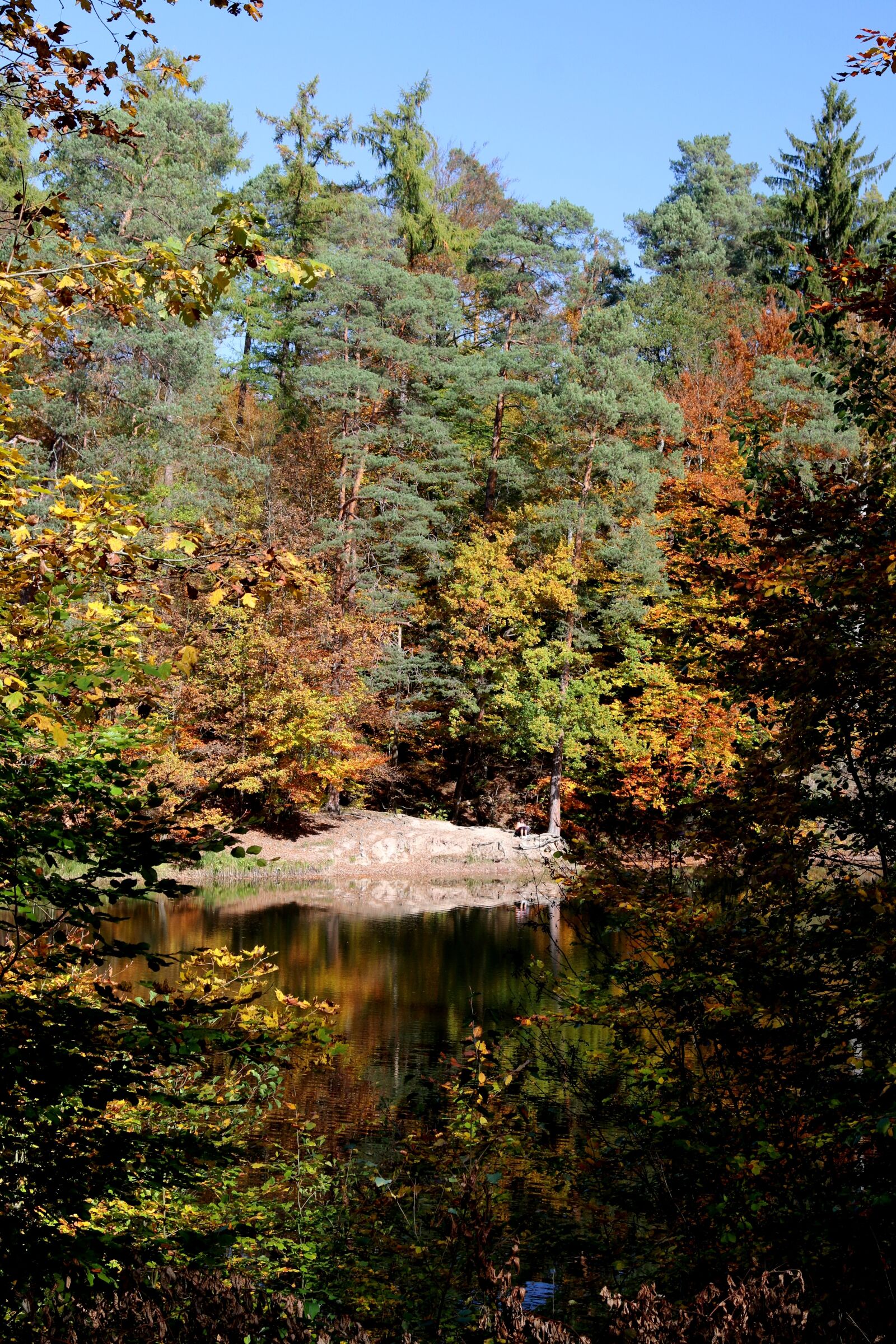 Canon EOS 70D + Canon EF 24-105mm F4L IS USM sample photo. Stuttgart, pfaffenteich lake, bear photography