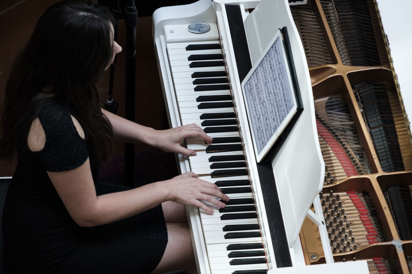 Fujifilm X-T2 + Fujifilm XF 55-200mm F3.5-4.8 R LM OIS sample photo. Wing, piano, instrument photography