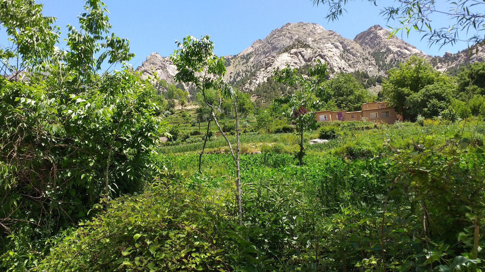 Samsung SM-J610F sample photo. Nature, beautiful, trees photography