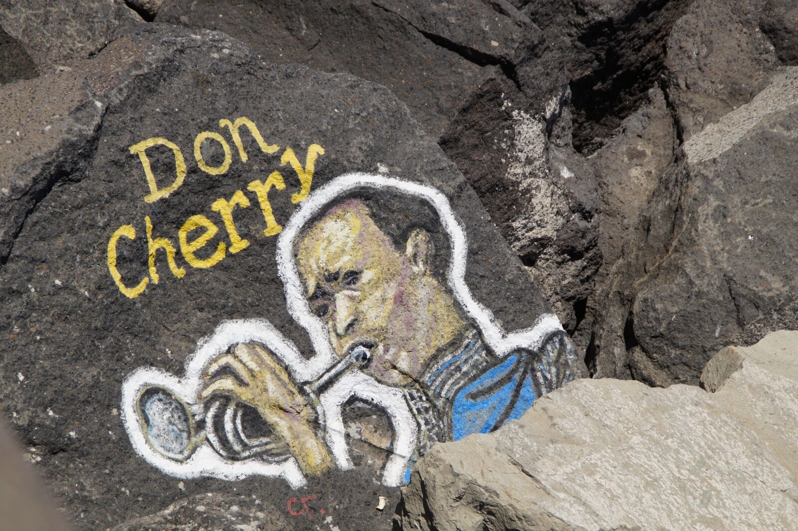 Sony SLT-A58 sample photo. Don cherry, trumpet, musician photography