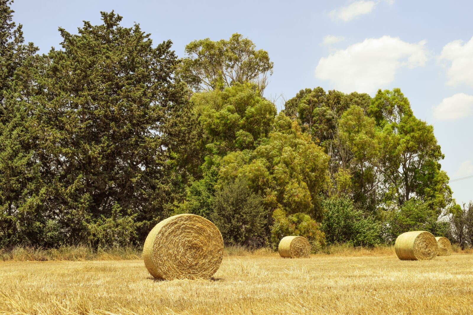 Nikon D3300 sample photo. Hay, bales, field photography