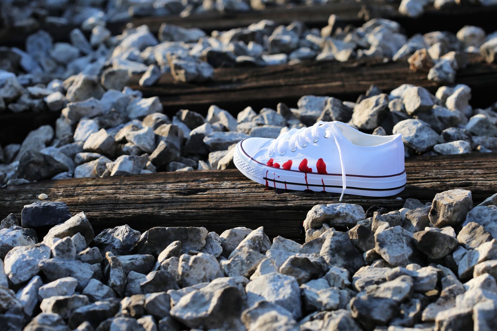Canon EOS 6D + Canon EF 100mm F2.8 Macro USM sample photo. Stop teenager suicide, bloody photography