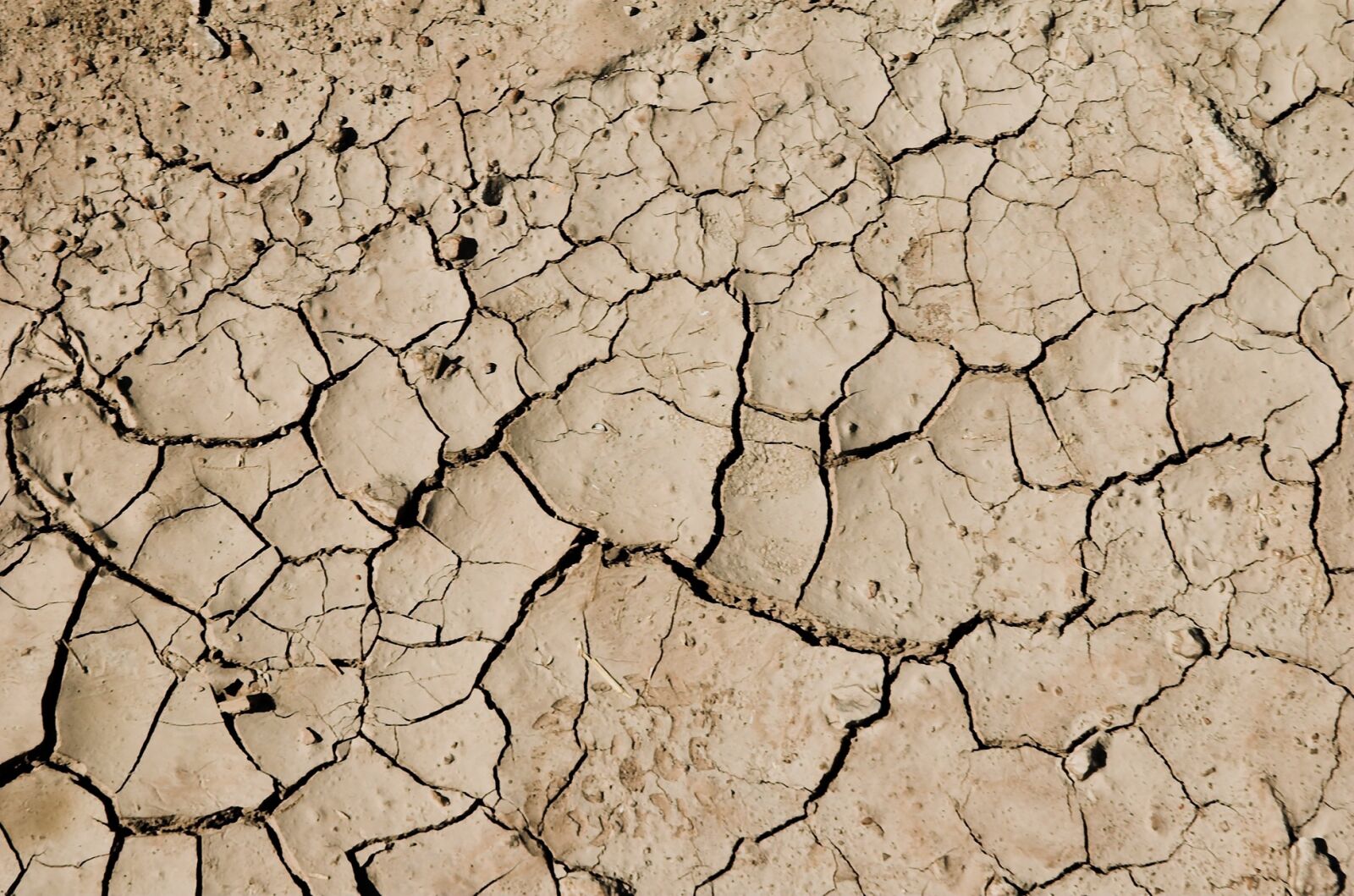 Nikon D70 sample photo. Desert, dry, drought photography
