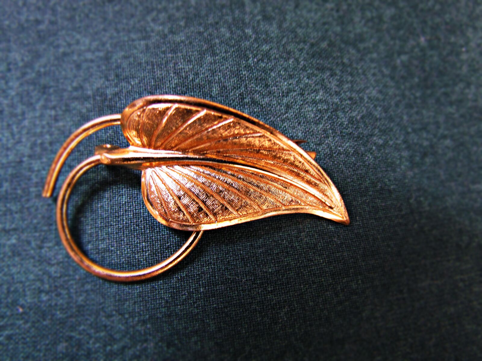 Canon PowerShot SX30 IS sample photo. Ornament, brooch, leaf photography