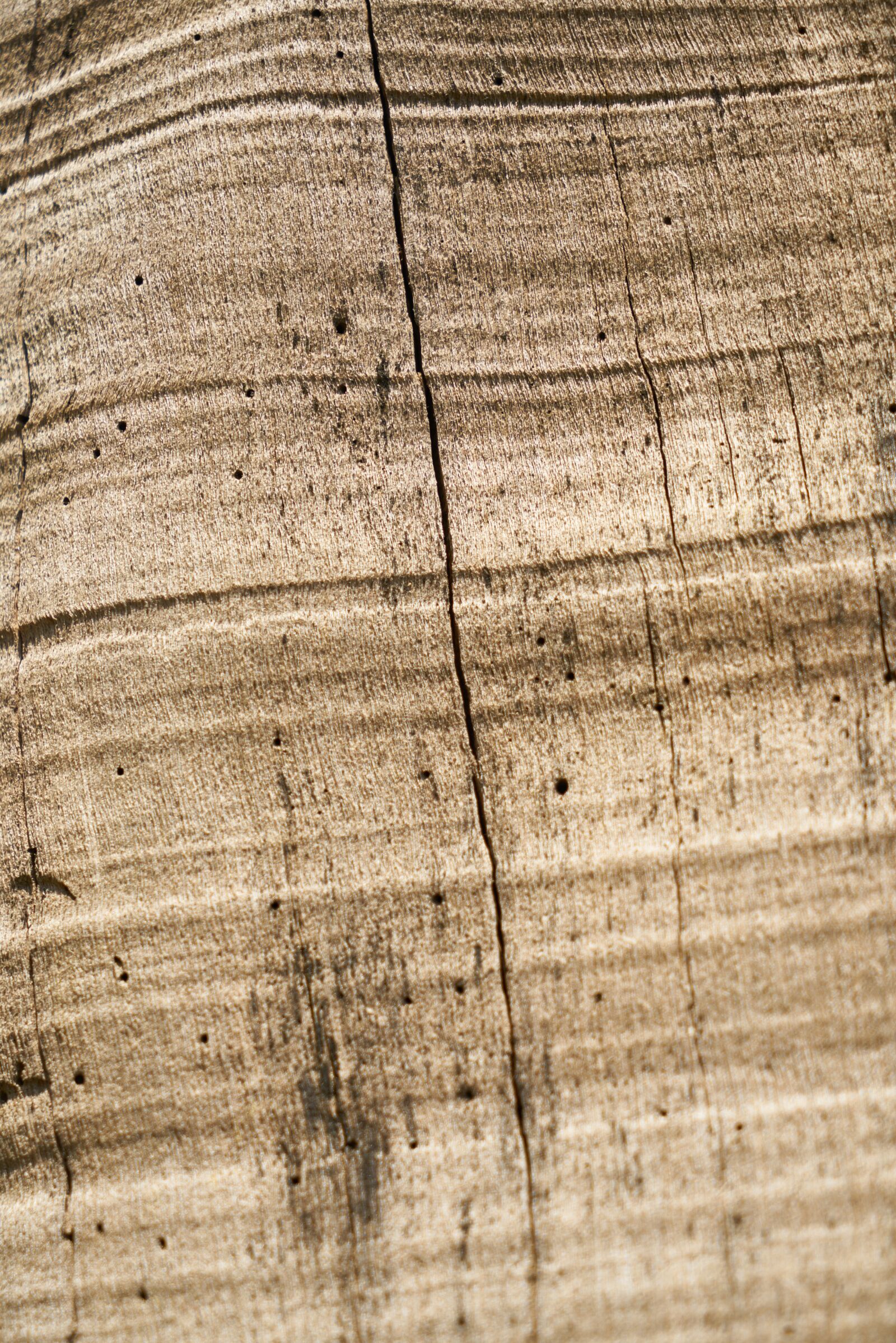 Sony a7R II sample photo. Wood, wood-fibre boards, timber photography