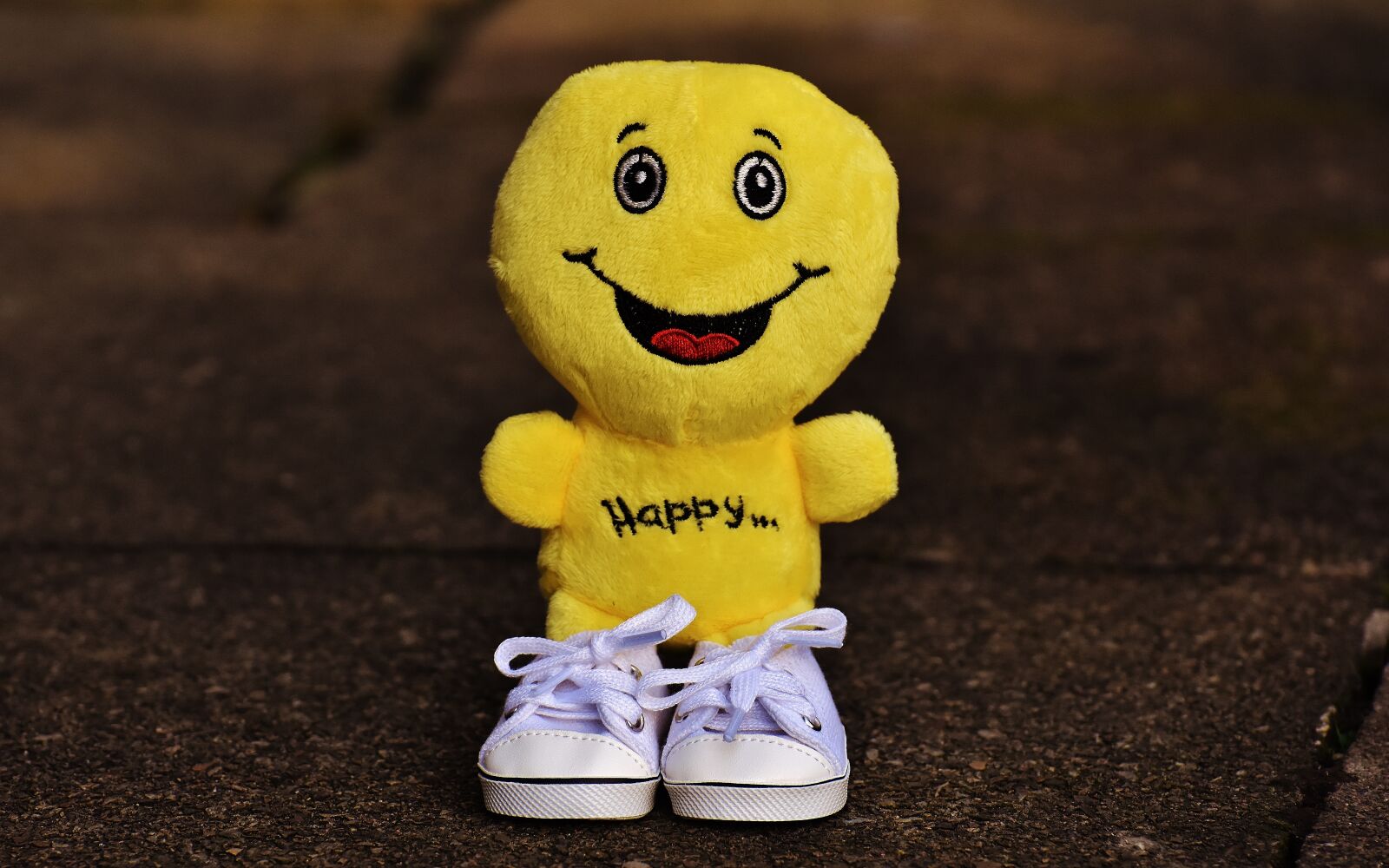 Nikon D7200 sample photo. Smiley, laugh, sneakers photography
