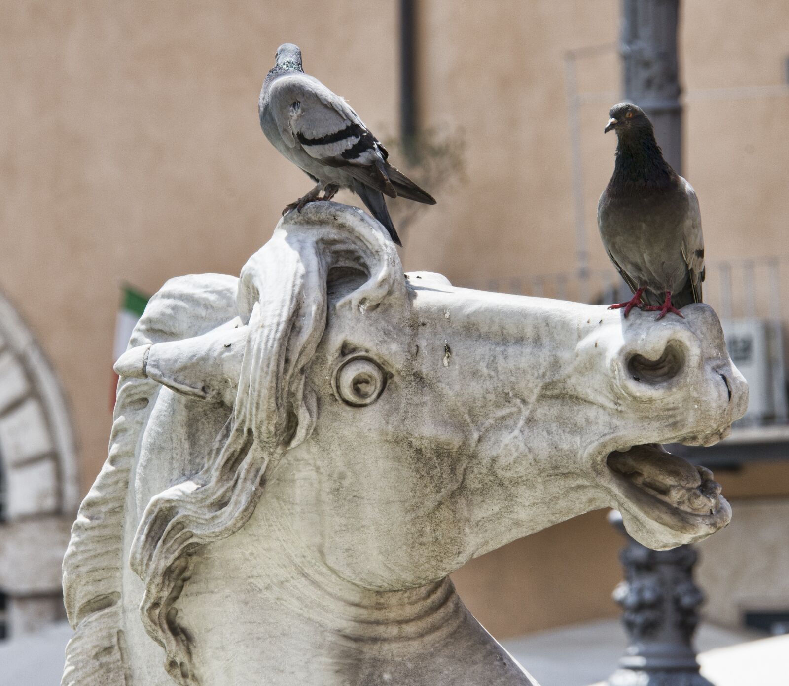Nikon D800 sample photo. Rome, italy, italian photography