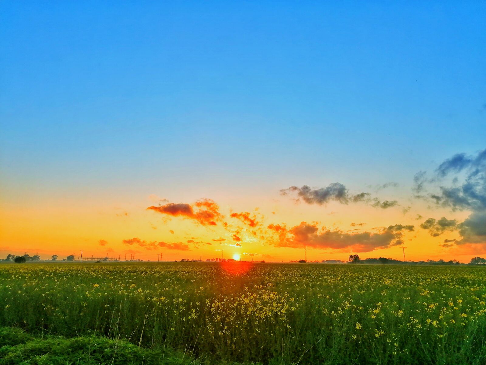 HUAWEI MAR-LX1A sample photo. View, the sun, field photography