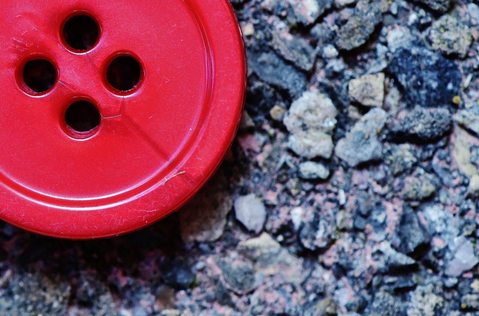 Nikon D7200 sample photo. Buttons, 4 holes, red photography