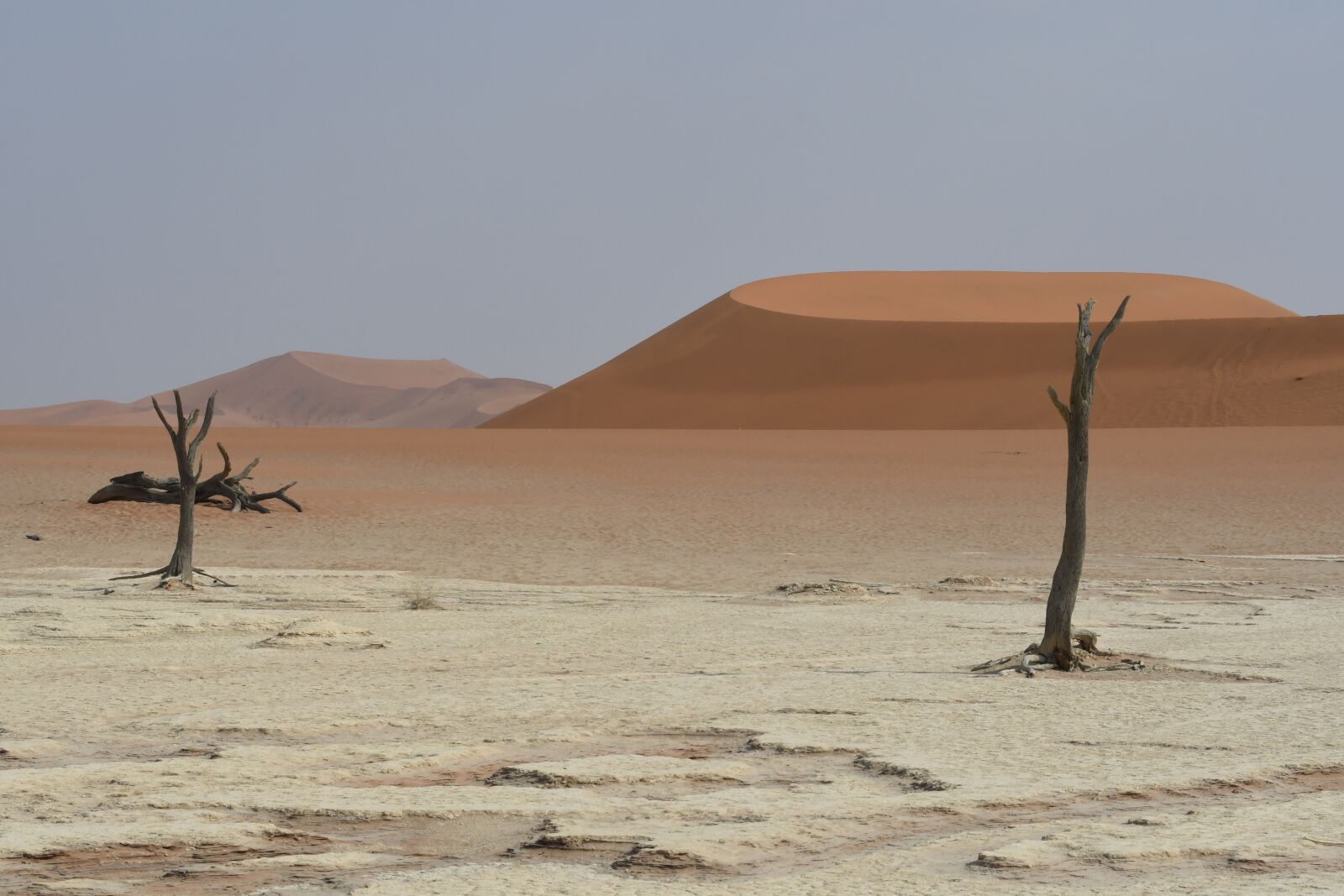 Nikon D500 sample photo. Landscape, desert, namibia photography