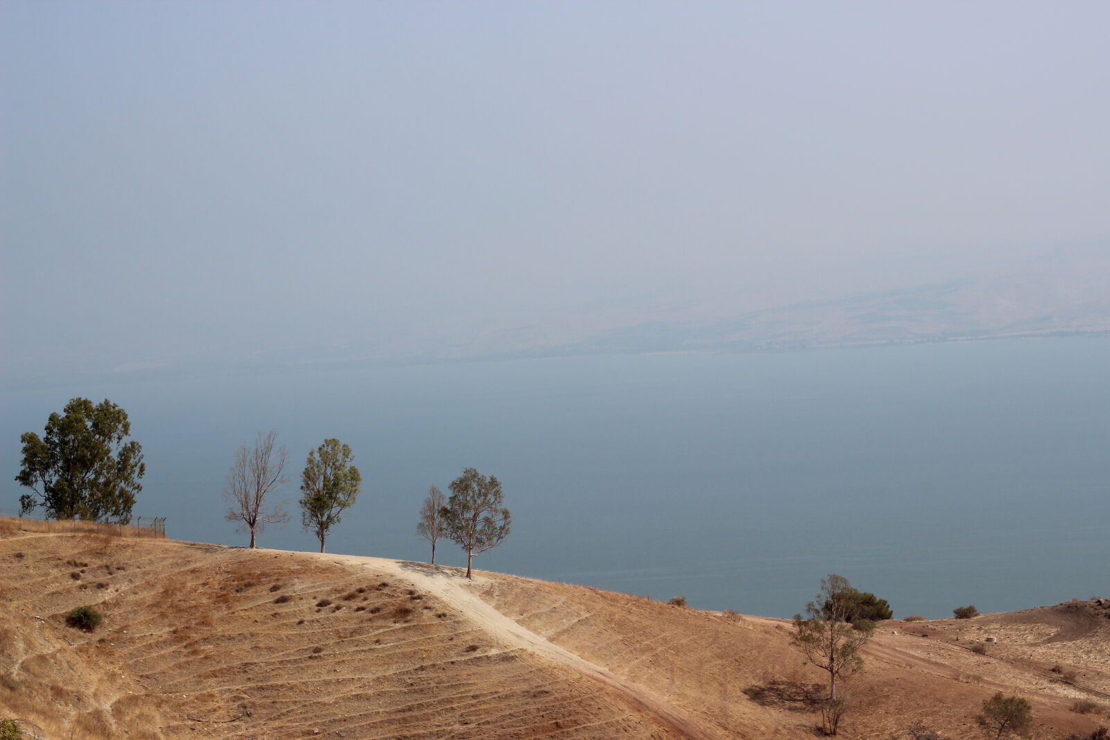 Canon EOS 600D (Rebel EOS T3i / EOS Kiss X5) + Canon EF 50mm F1.8 II sample photo. Lake, kinneret, sea, of photography