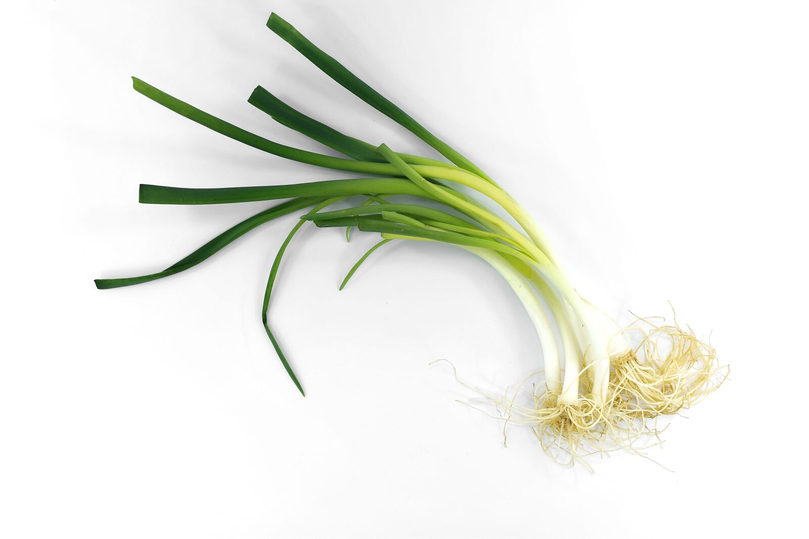 Nikon D5500 sample photo. Antibacterial, antioxidant, chives, green photography