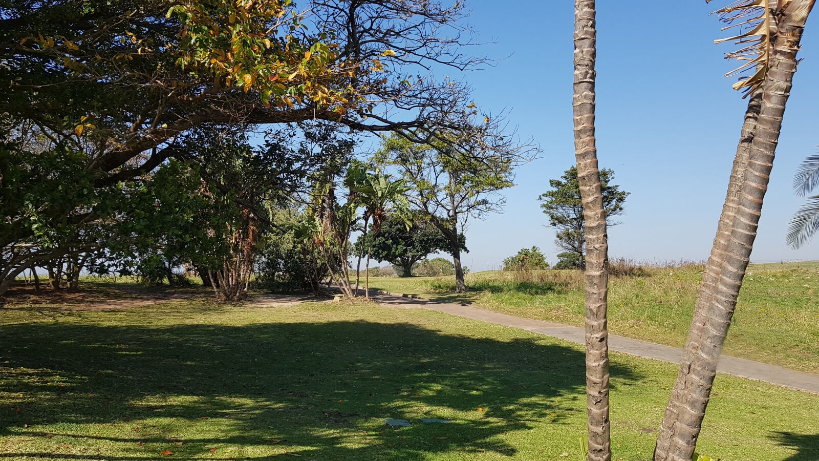 Samsung Galaxy S8+ sample photo. Golf, golf, course, outdoor photography