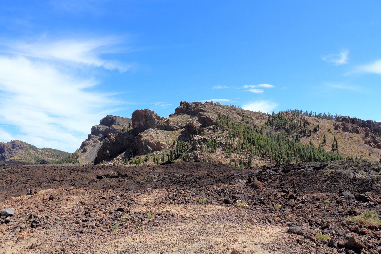 Canon EOS 650D (EOS Rebel T4i / EOS Kiss X6i) sample photo. Tenerife, mountain, vegetation photography