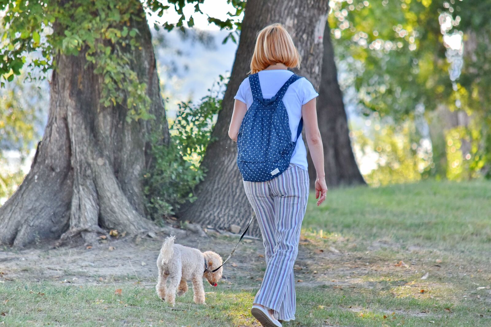 Nikon D5500 sample photo. Dog, enjoyment, landscape, woman photography