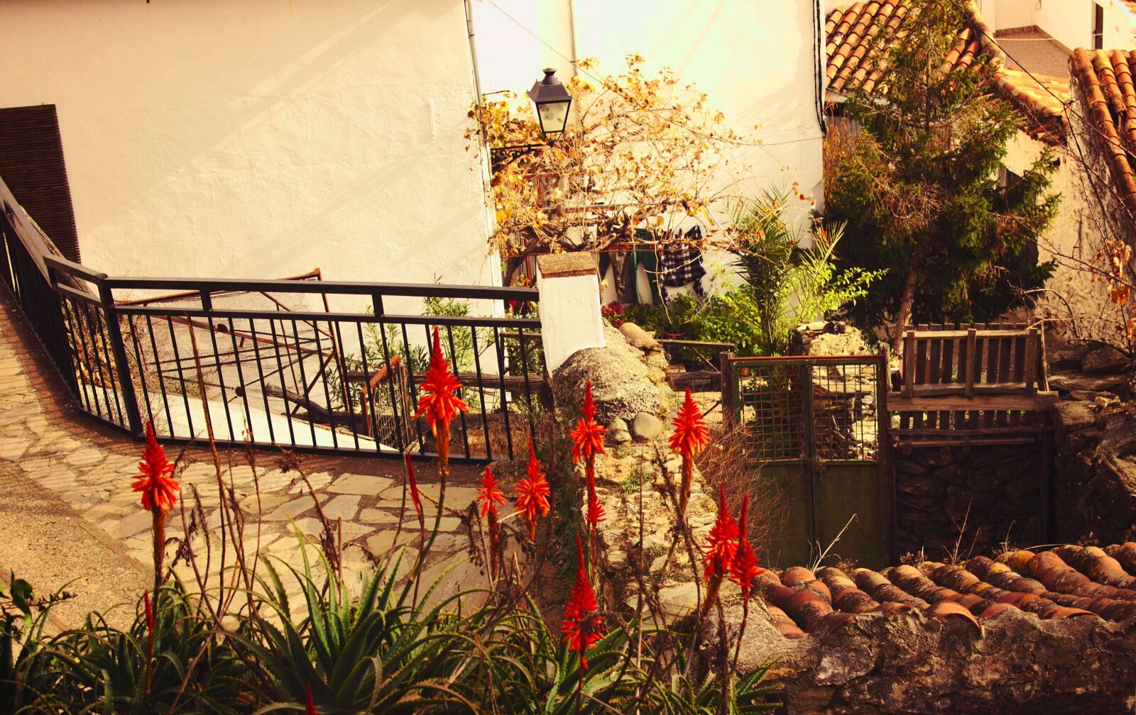 Canon EOS 600D (Rebel EOS T3i / EOS Kiss X5) sample photo. Benalauria, nature, andalusia photography