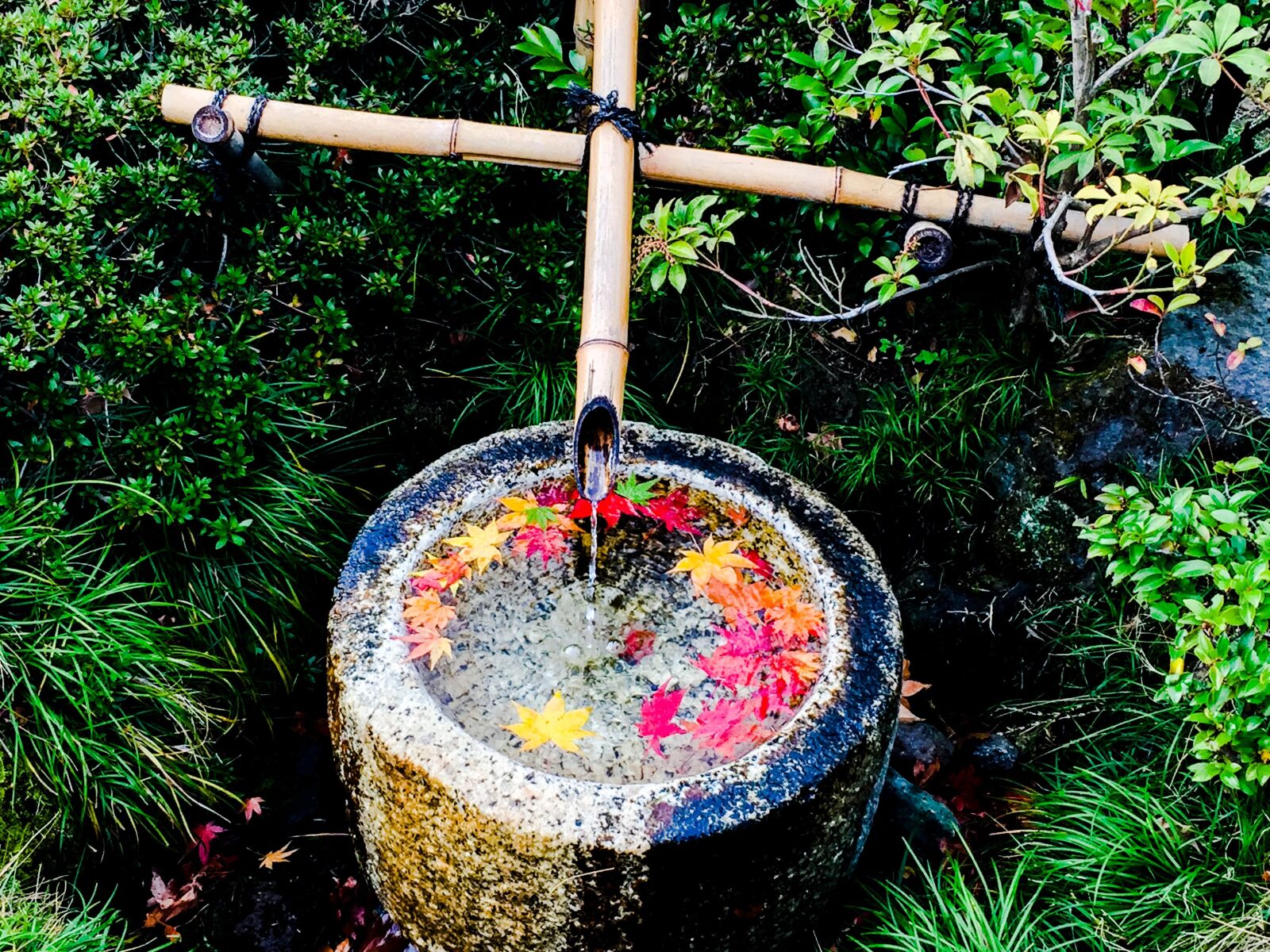 Apple iPhone 6 sample photo. Kyushu, river, japan photography