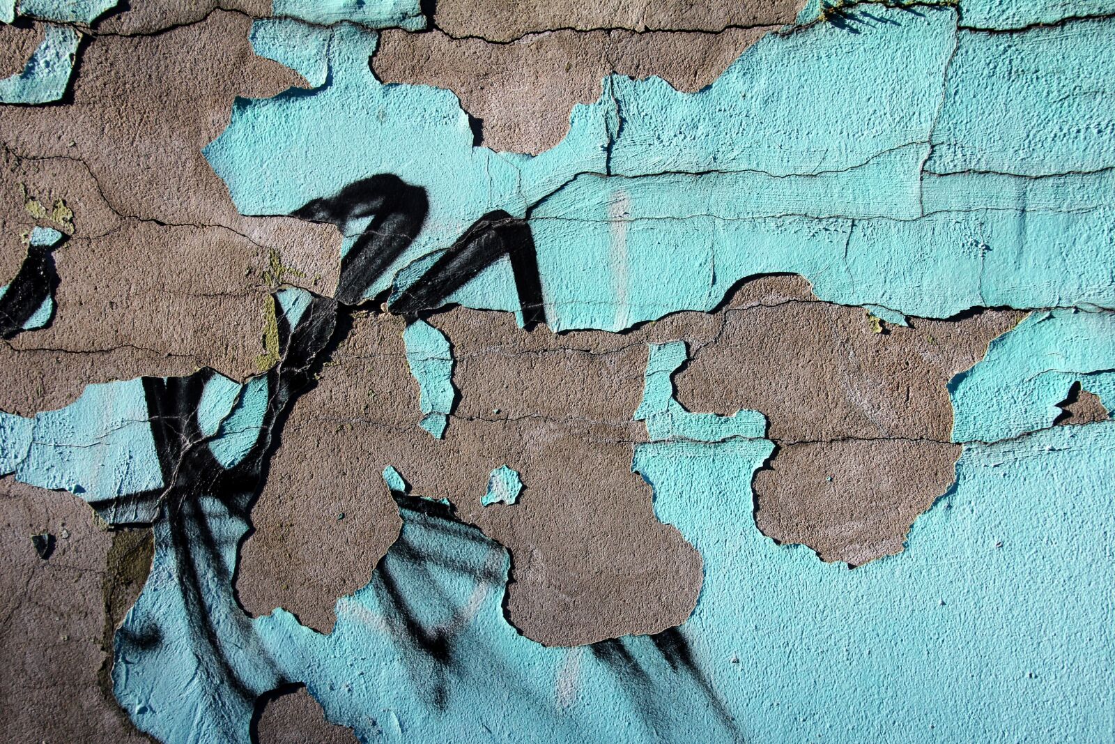 Canon EOS 60D sample photo. Graffiti, wall, plaster photography