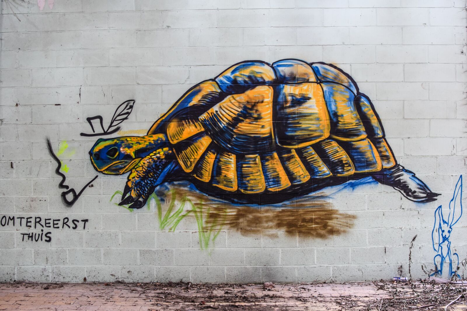 Nikon D5300 sample photo. Turtle, graffiti, mural photography