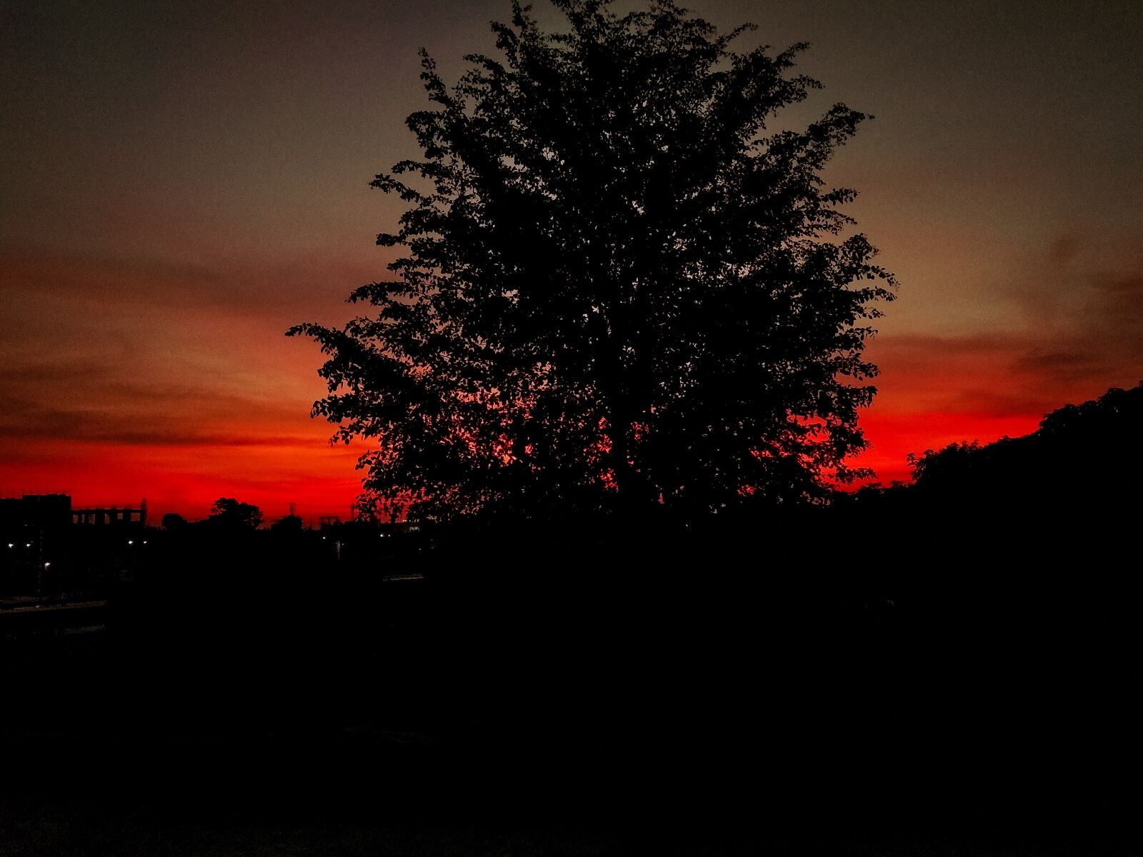 Xiaomi Redmi Note 5A sample photo. Sunset, tree, dark photography