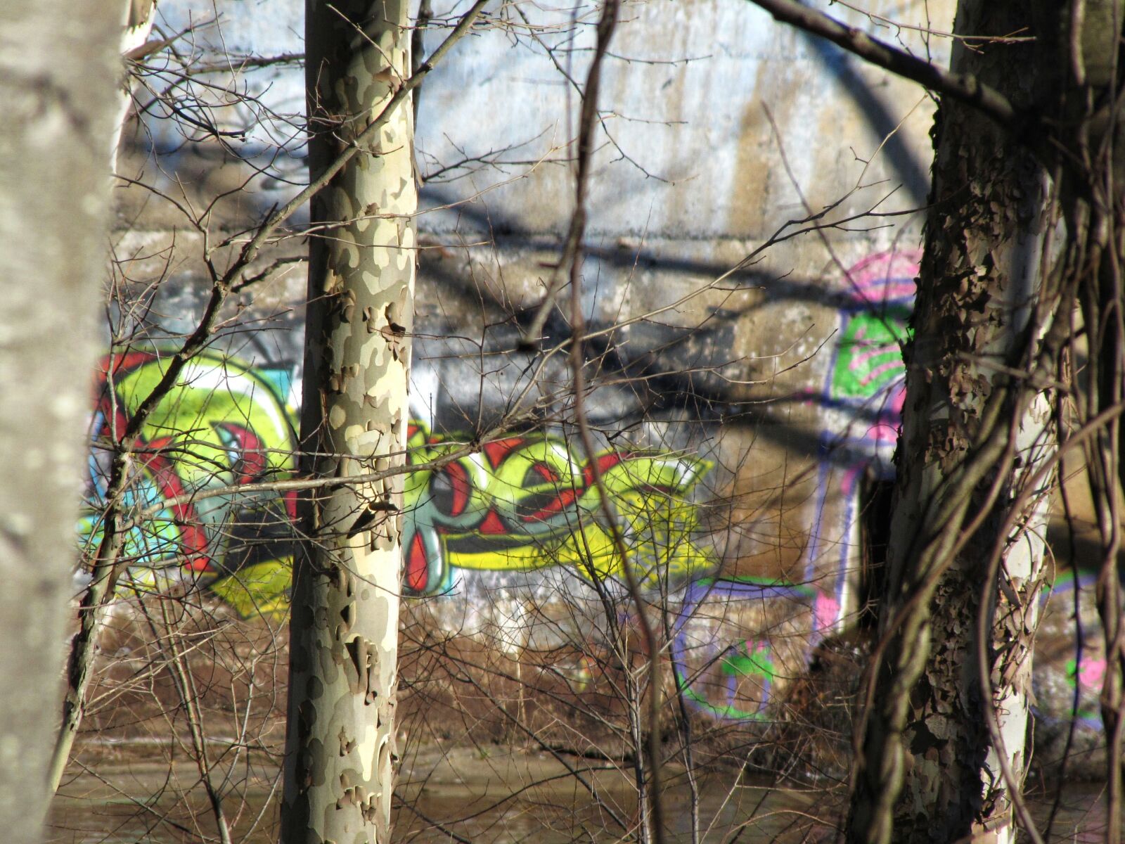 Canon PowerShot SX20 IS sample photo. Art, autumn, fall, graffiti photography