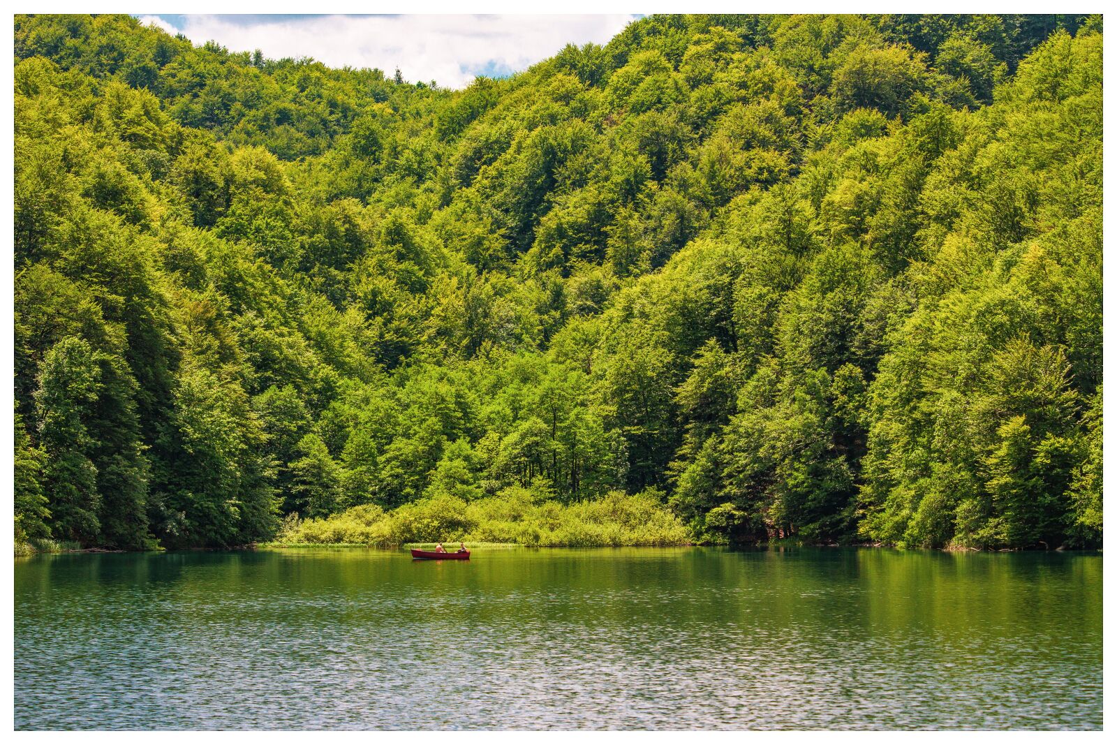 Canon EOS 7D + Canon EF-S 55-250mm F4-5.6 IS STM sample photo. Plitvickie lakes, croatia, nature photography
