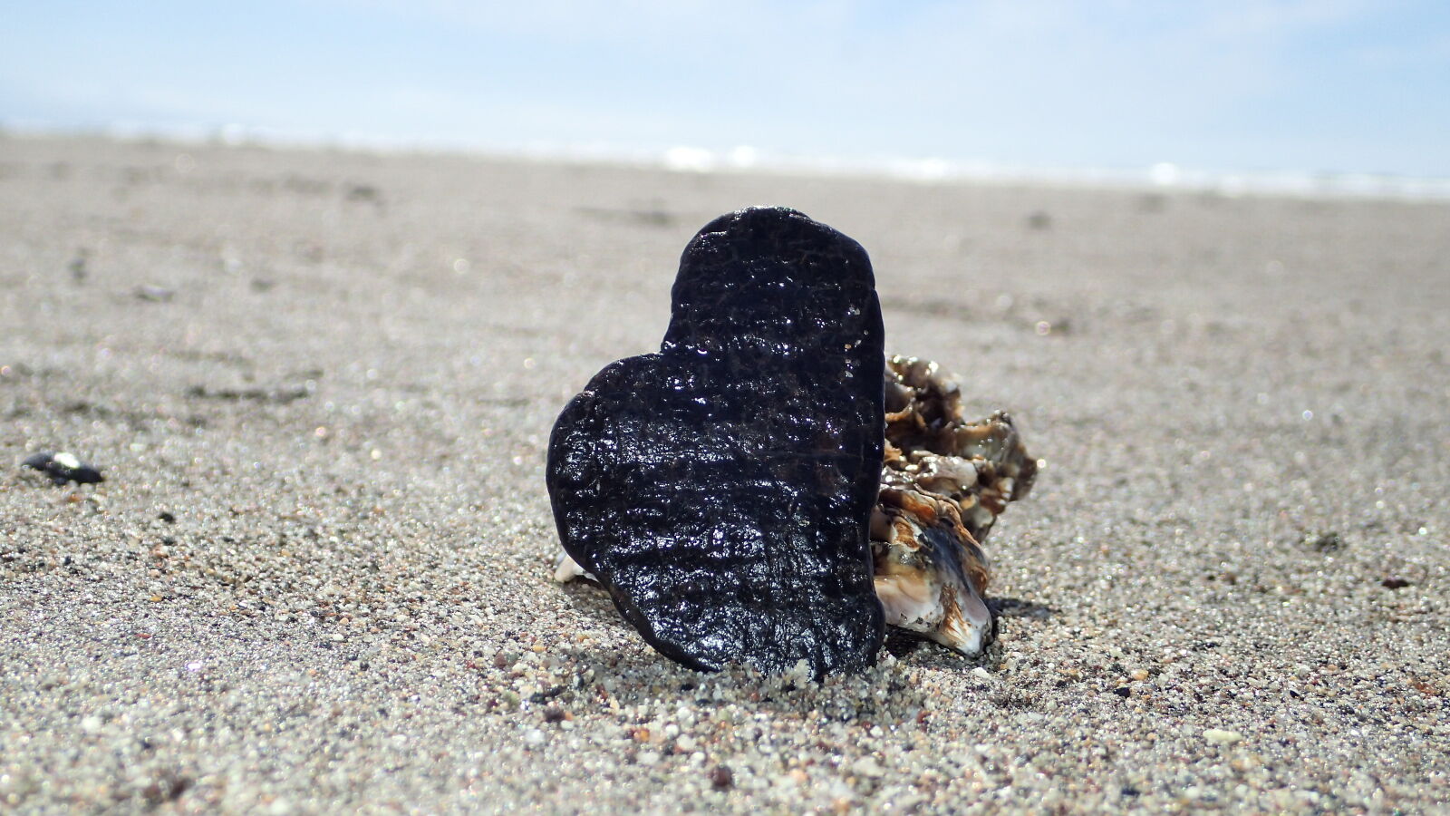Olympus TG-4 sample photo. Heart, rock, rocks, shell photography