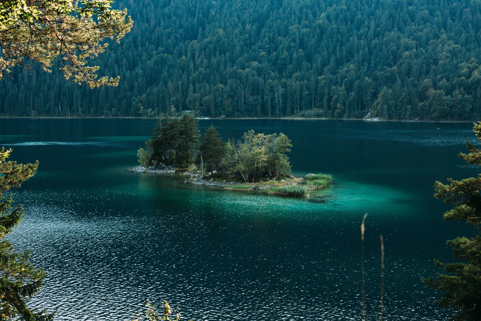Canon EF 50mm F1.4 USM sample photo. Water, nature, tree photography