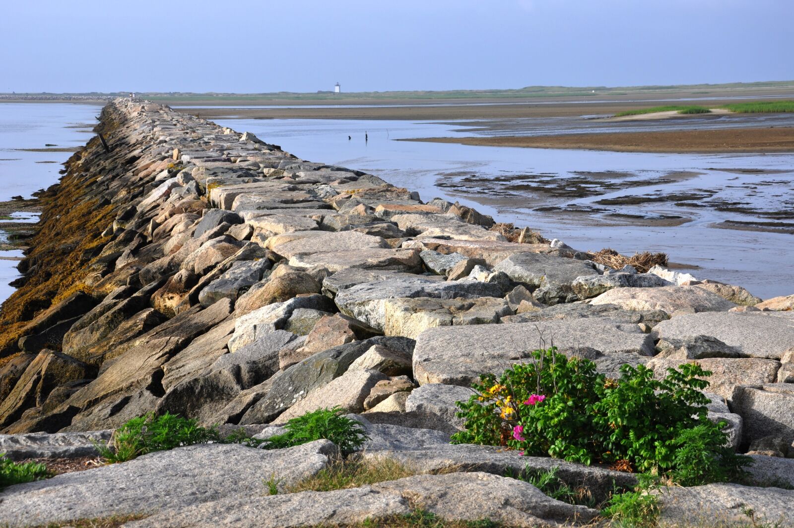 Nikon D90 sample photo. Jetty, cape cod, provincetown photography