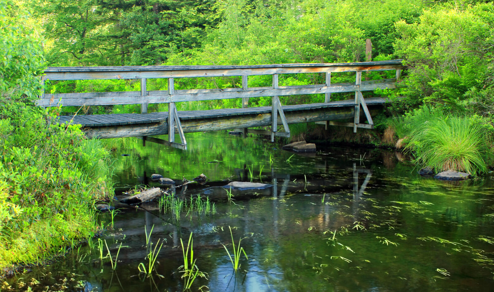 Canon EOS 600D (Rebel EOS T3i / EOS Kiss X5) sample photo. Bridge, grass, outdoors, river photography