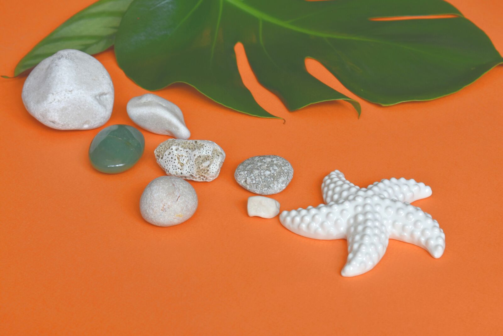 Nikon D3400 sample photo. Starfish, summer, pebbles photography