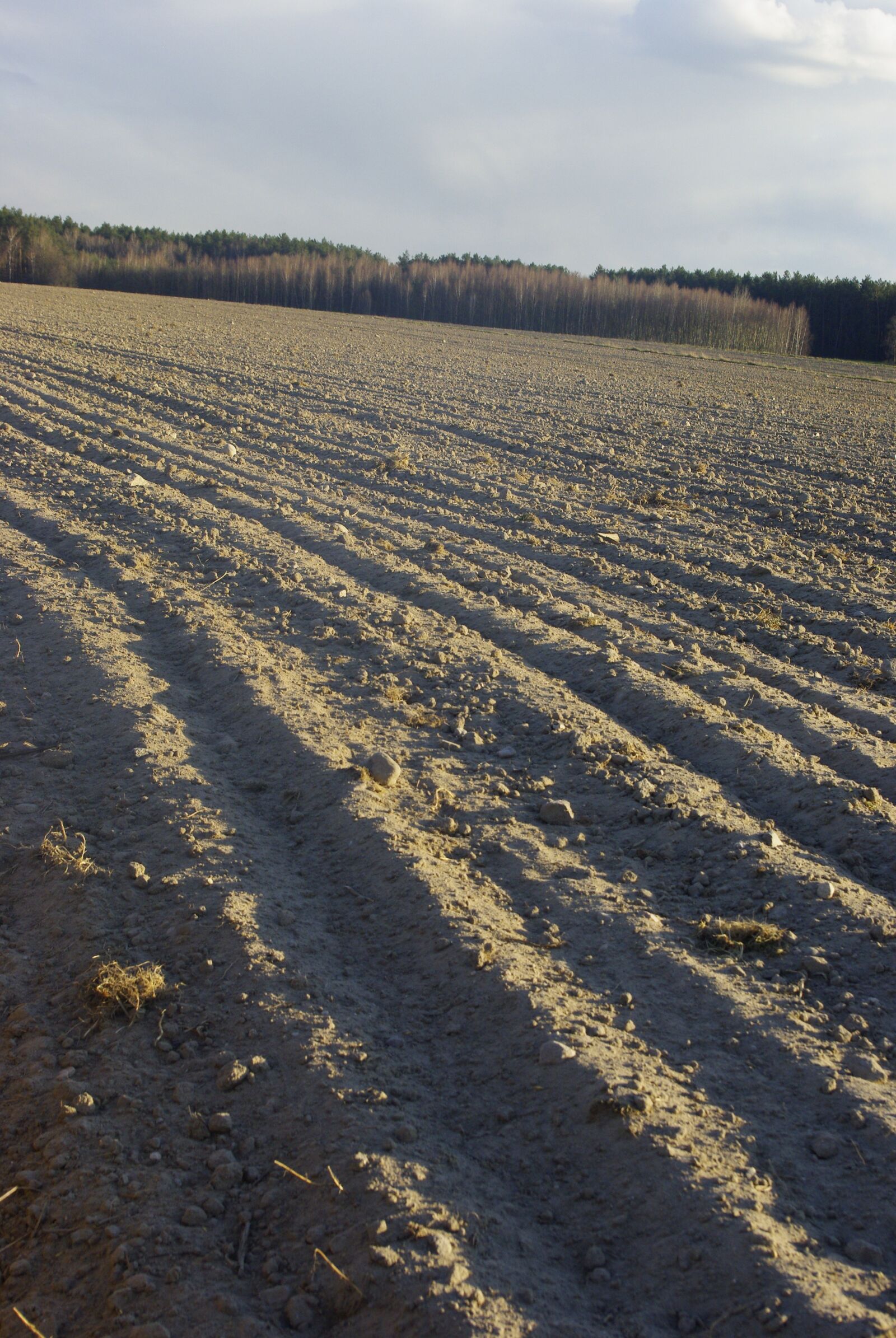 Pentax K200D sample photo. Earth, orka, field photography