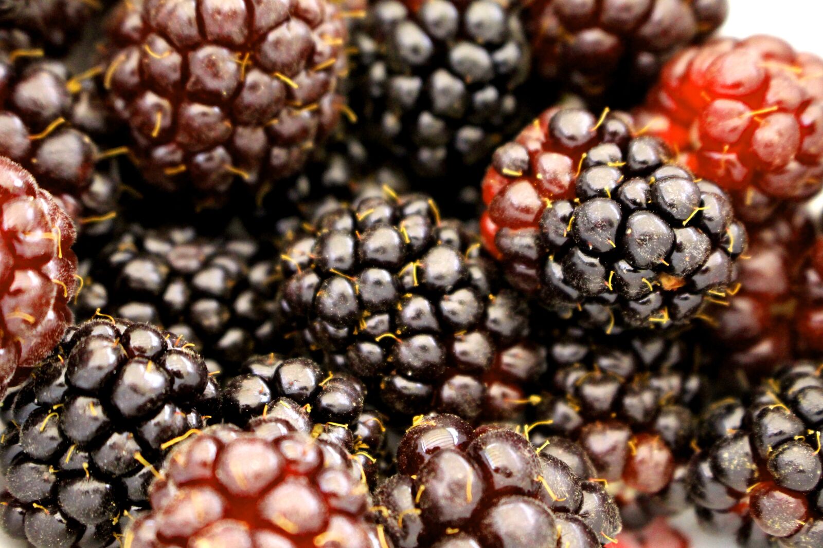 Canon EOS 700D (EOS Rebel T5i / EOS Kiss X7i) sample photo. Berry, boysenberry, blackberry photography
