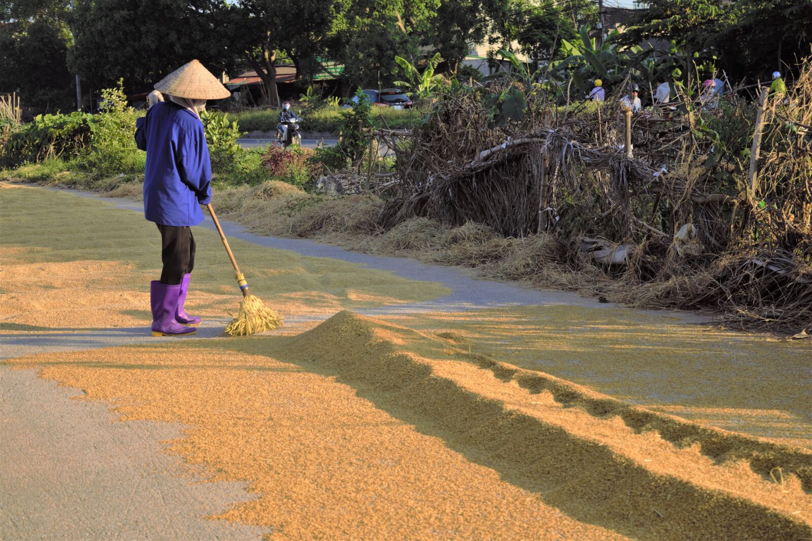 Nikon D5300 sample photo. Grain, silk, rice photography