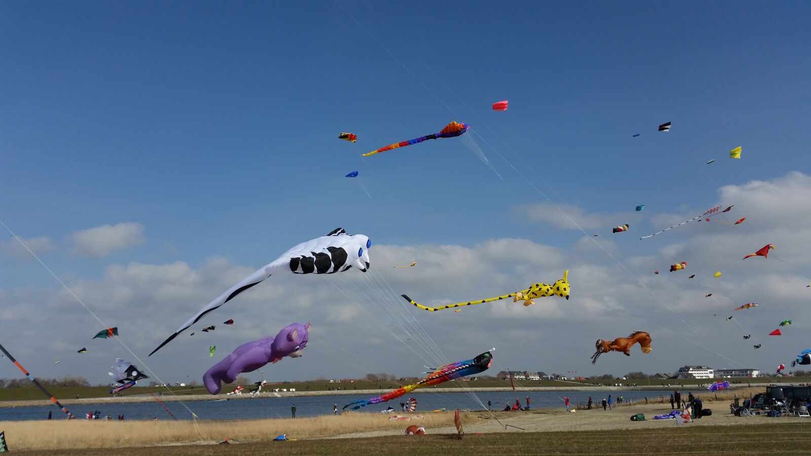 Samsung Galaxy S5 sample photo. Kite festival b sum photography