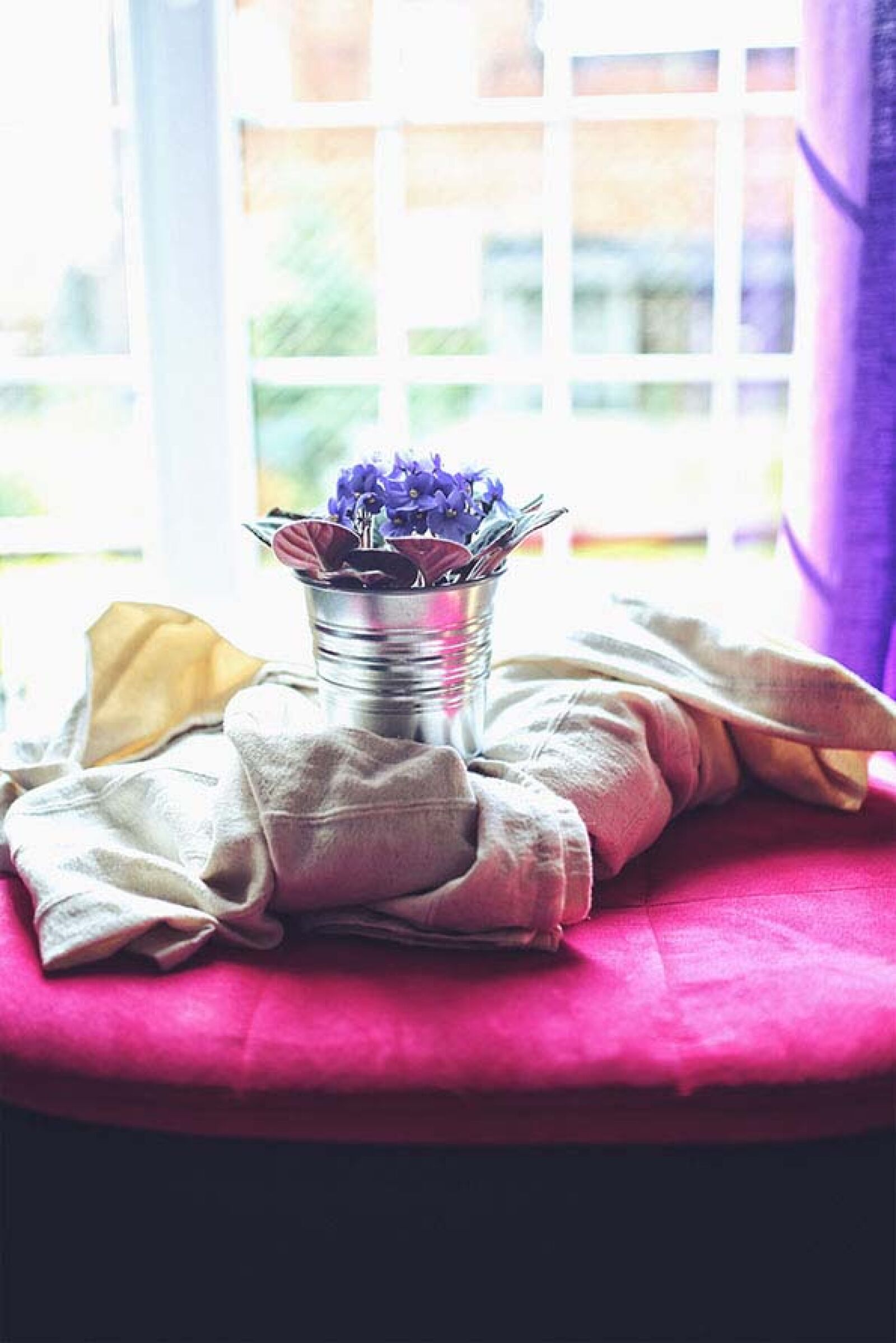 Canon EOS 6D sample photo. Houseplant, on, coverlet photography
