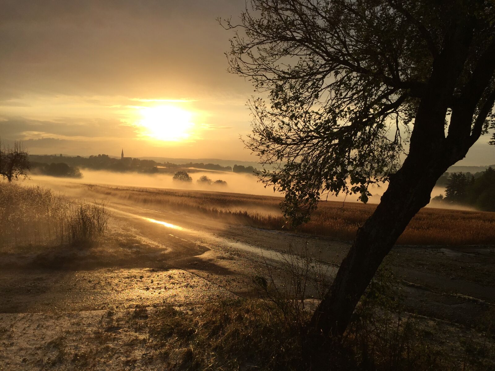 iPhone 6 back camera 4.15mm f/2.2 sample photo. Sunset, fog, hail photography