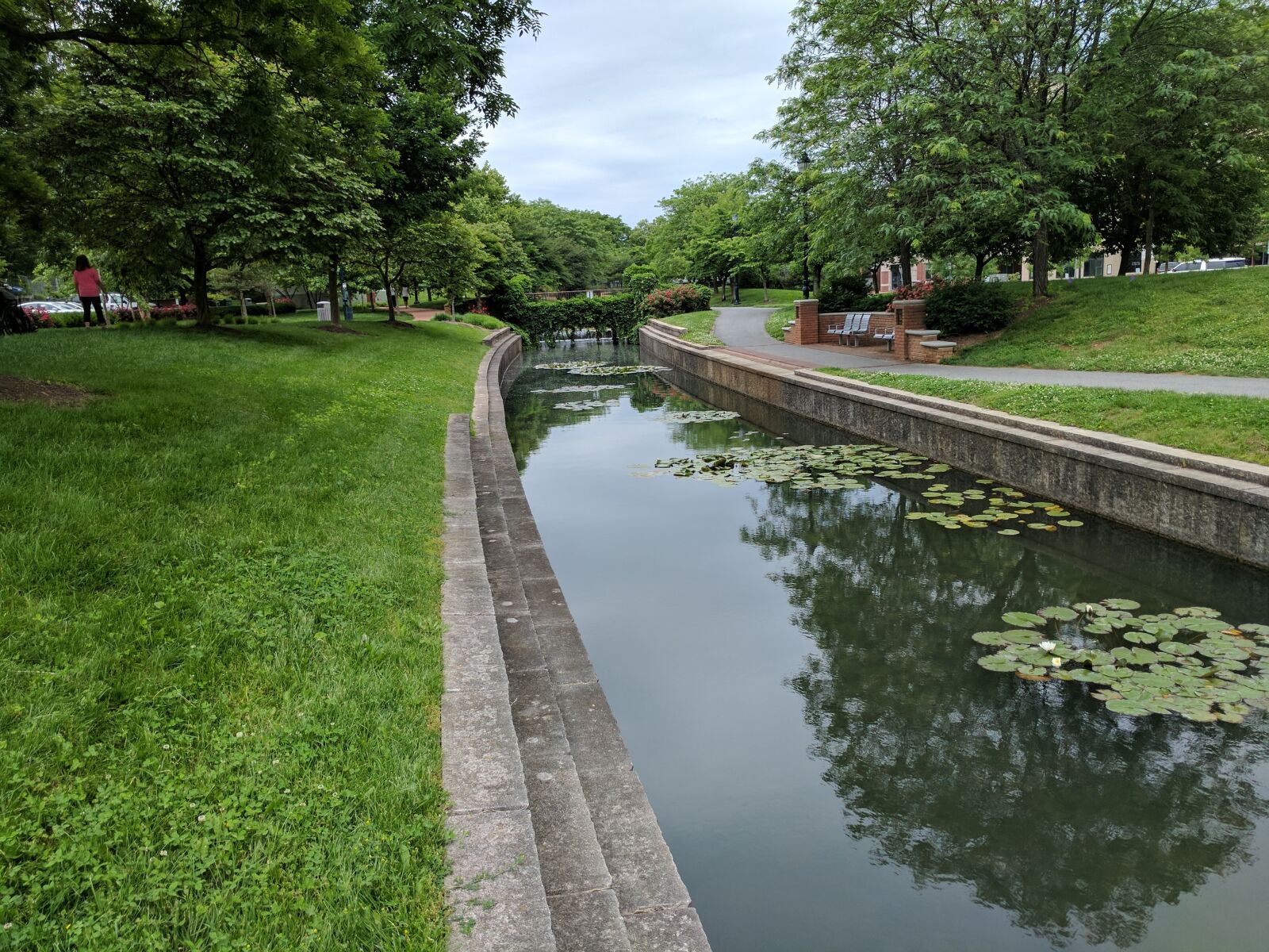 Google Pixel sample photo. Lily pads, outdoors, frederick photography