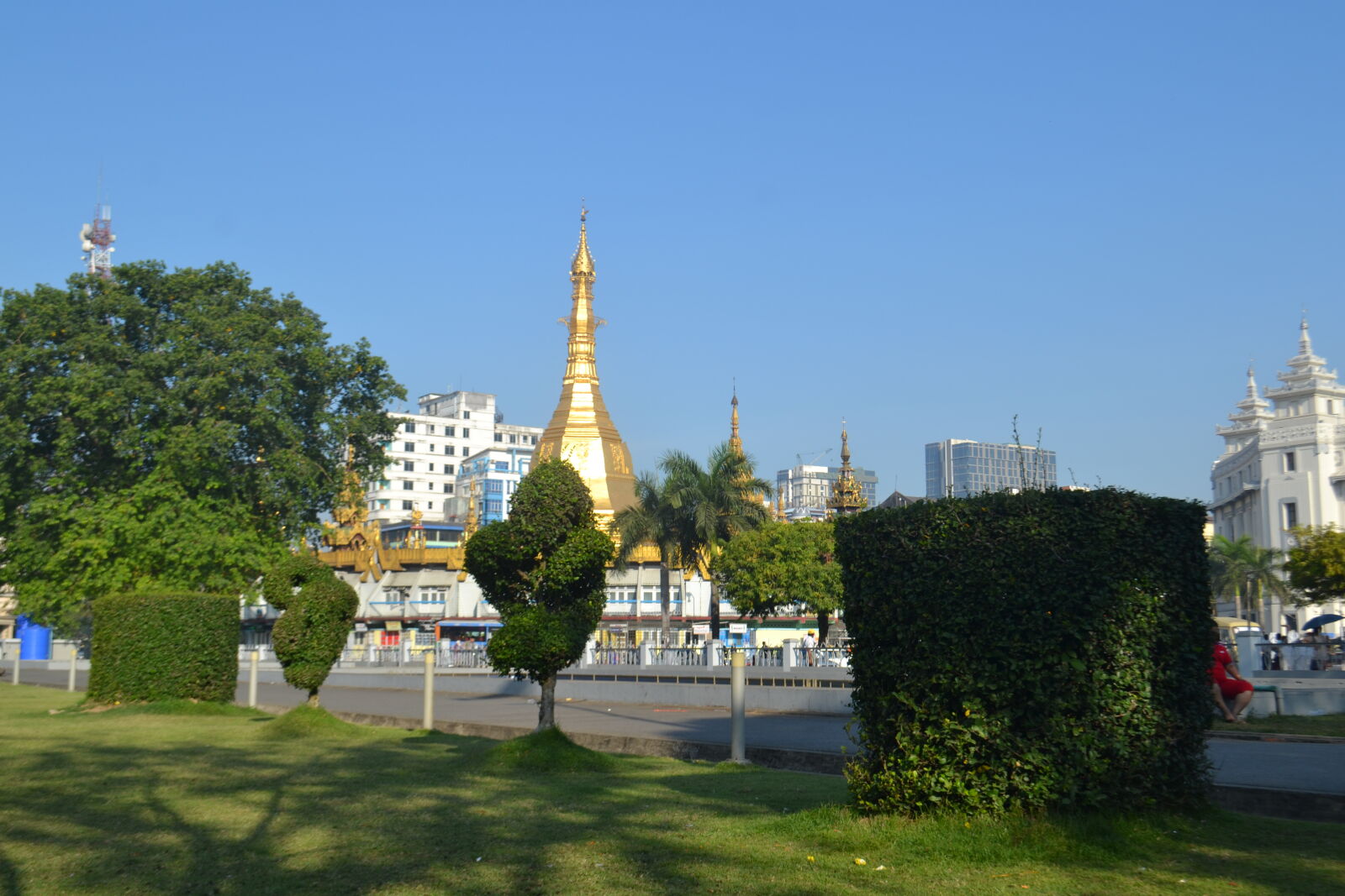 Nikon D3100 sample photo